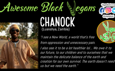 Awesome Vegan – Chanock